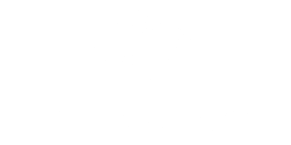 Chivasso - Schildersbedrijf Wesseldijk - Gorssel