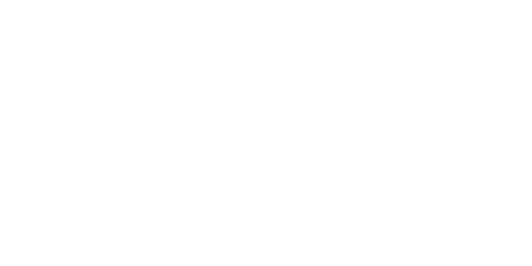 Morris - Schildersbedrijf Wesseldijk - Gorssel